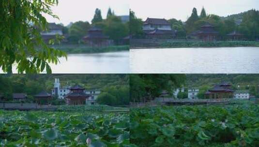 武汉汉阳莲花湖公园园林风光4K视频合集高清在线视频素材下载