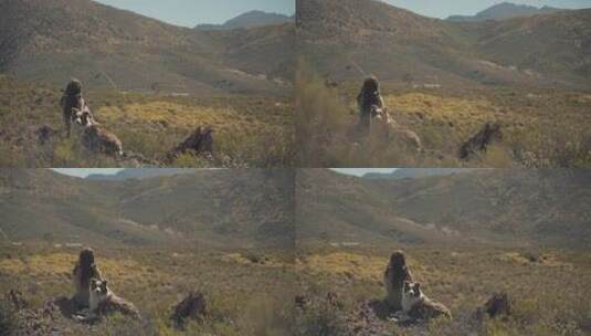 女孩与狗相伴依靠在大山里看风景高清在线视频素材下载