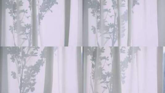 白色窗纱上的影子，窗帘上的树影高清在线视频素材下载