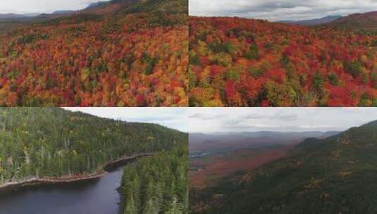 航拍秋季森林高清在线视频素材下载