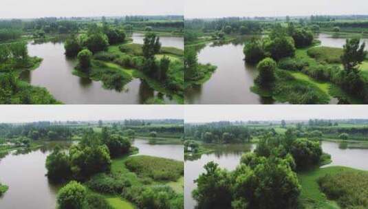 河滩 湿地 植被 沼泽地　航拍 4K高清在线视频素材下载