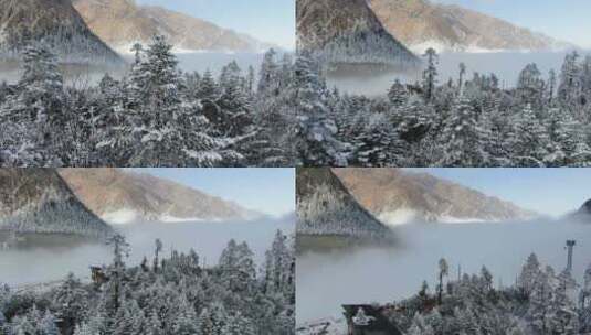 冬季海螺沟冰川森林公园雾凇雪景云海航拍高清在线视频素材下载