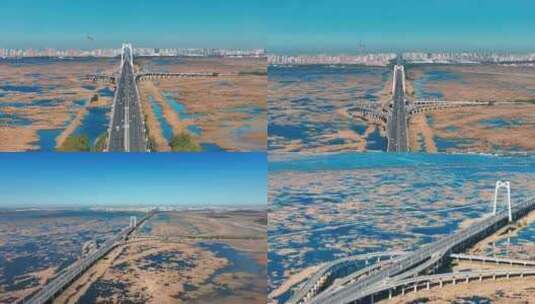 黑龙江大庆市湿地大桥秋季风景航拍4K高清在线视频素材下载
