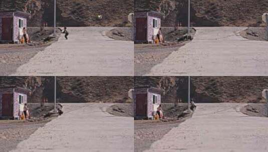 高原藏区玩耍跳绳的藏民小朋友小孩高清在线视频素材下载