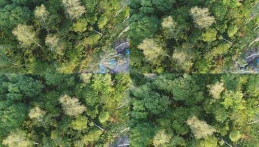航拍森林素材高清在线视频素材下载