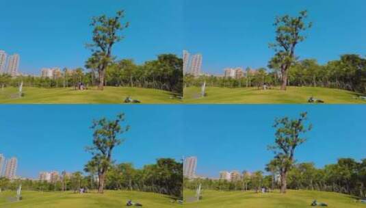 公园绿树蓝天休闲的人们高清在线视频素材下载
