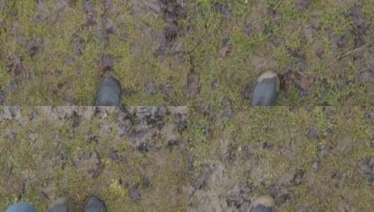 男士在泥地里走路靴子特写高清在线视频素材下载