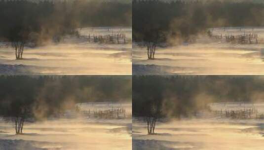红花尔基冬季清晨暖泉中蒸汽飘渺高清在线视频素材下载