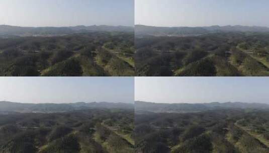 大气湖南丘陵山川森林航拍高清在线视频素材下载