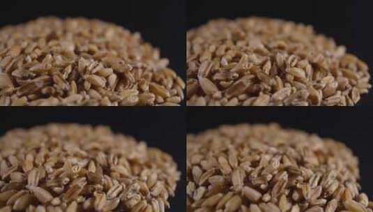 浮小麦中药中草药中医药材高清在线视频素材下载