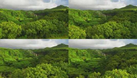 夏威夷考艾岛高清在线视频素材下载
