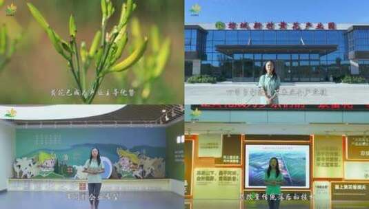 坊城花企业宣传片高清在线视频素材下载