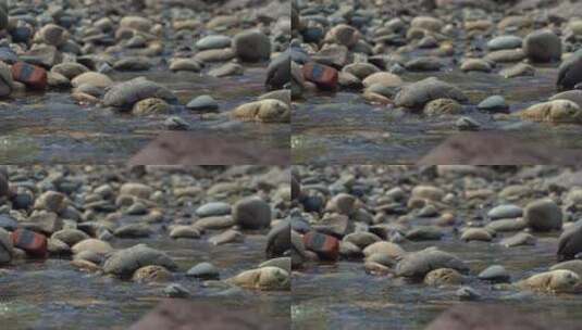 溪流鹅卵石高清在线视频素材下载