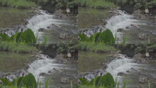 河流小溪青草泉水河边河水溪流水坝高清在线视频素材下载