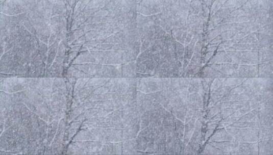 树林中的大雪高清在线视频素材下载