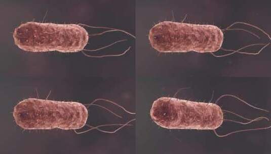 医疗病菌病毒细菌分子病原体生物三维动画高清在线视频素材下载