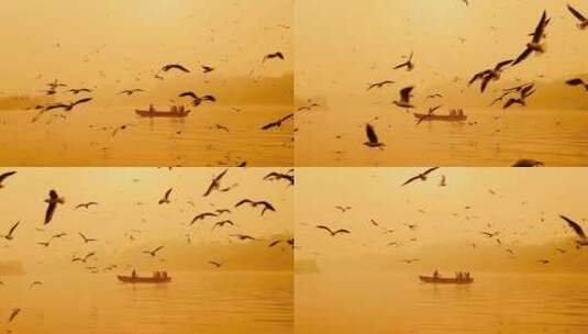 黄昏湖面海鸥飞翔，人们坐在小船上高清在线视频素材下载