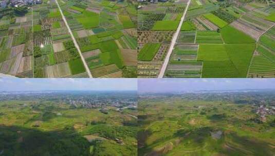 水稻田农田耕地粮食农民农村土地种植高清在线视频素材下载