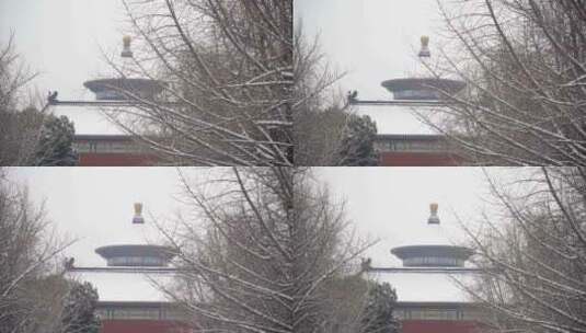 北京天坛雪景高清在线视频素材下载