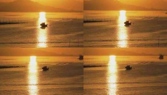 海上落日 海上养殖  金色海面高清在线视频素材下载