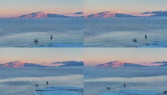 新疆博州赛里木湖冬季日落天鹅雪山航拍风景高清在线视频素材下载