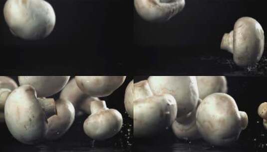 菌类 蘑菇高清在线视频素材下载