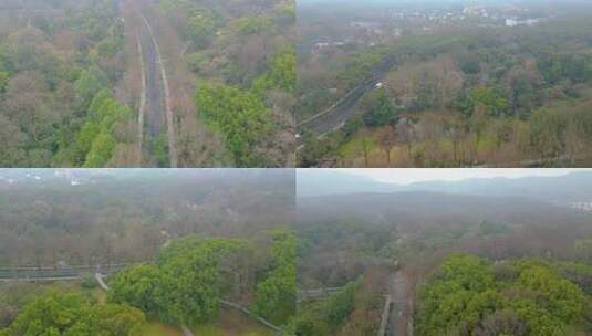 杭州植物园风景视频素材高清在线视频素材下载