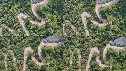 广东观音山国家森林公园第十二届登山大赛高清在线视频素材下载