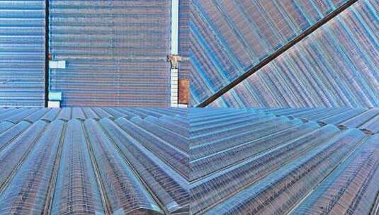 航拍大棚种植基地 农业高清在线视频素材下载