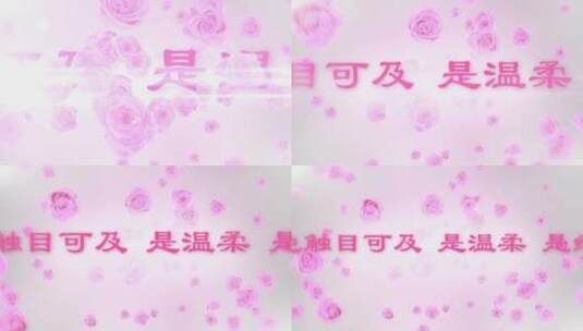 粉色玫瑰 婚礼 人物介绍 AE模板 片头高清AE视频素材下载