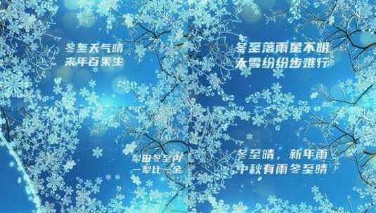 蓝色雪花冬至节气视频ae模板高清AE视频素材下载