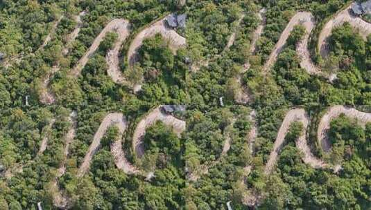 广东观音山国家森林公园第十二届登山大赛高清在线视频素材下载