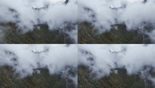 无人机航拍西藏林芝秋天高山林海云雾景观高清在线视频素材下载