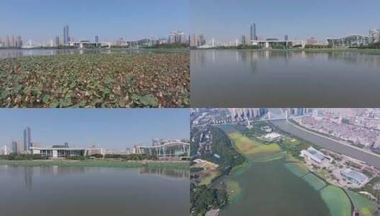 武汉汉阳月湖公园航拍琴台大剧院音乐厅高清在线视频素材下载