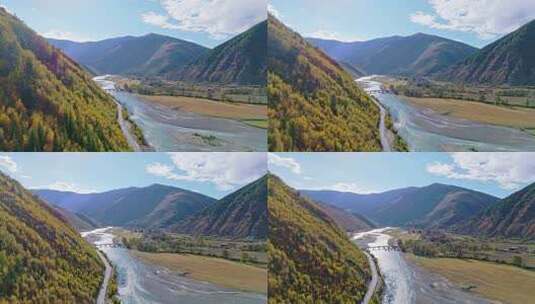 航拍四川川西新都桥甲根坝秋景彩林红叶秋天高清在线视频素材下载