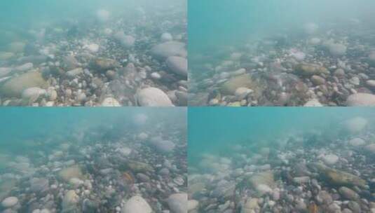 塑料水瓶在海底摇晃高清在线视频素材下载