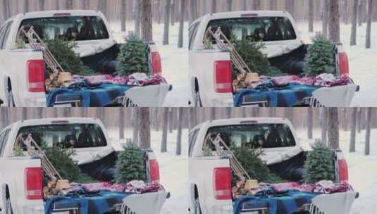 男人把圣诞树放在皮卡的后车箱里高清在线视频素材下载