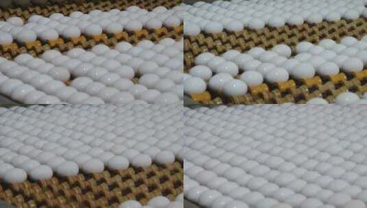 白鸡蛋被摆放在工厂传送带上高清在线视频素材下载