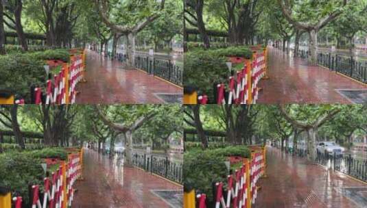 上海封城中的雨天绿化街道高清在线视频素材下载