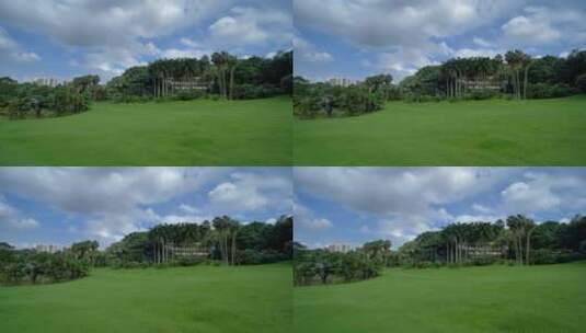 蓝天阳光草坪公园草地绿地高清在线视频素材下载