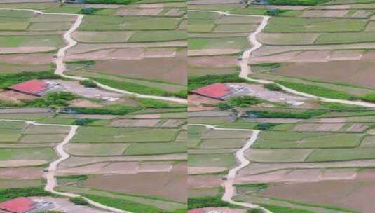 农业种植农田竖屏航拍高清在线视频素材下载