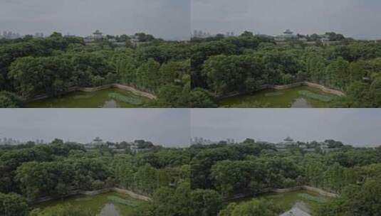 毕业季武汉大学航拍俯瞰校园4高清在线视频素材下载