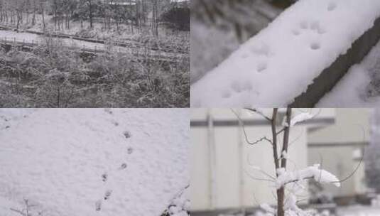 新农村景区冬天下雪雪花飘舞雪景景观6高清在线视频素材下载