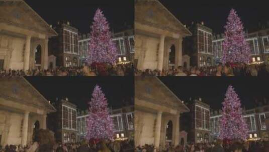 黑夜下的圣诞树高清在线视频素材下载