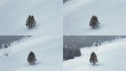 冬天喀纳斯雪景航拍高清在线视频素材下载