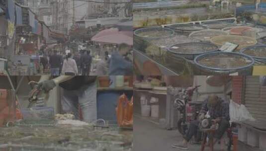 福建厦门海鲜市场城中村烟火气菜市场复苏高清在线视频素材下载