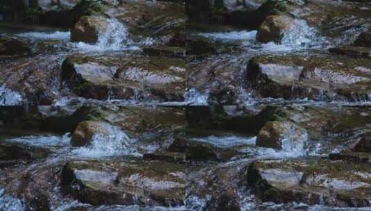 江南树林森林生态泉水溪水升格空镜高清在线视频素材下载