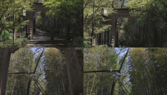 杭州西湖云溪竹径景区空镜高清在线视频素材下载