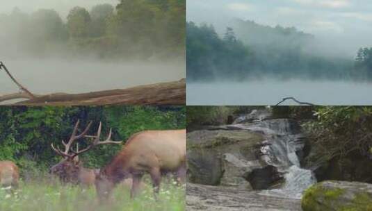 原生态大自然生活延时摄影高清在线视频素材下载