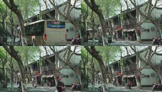 绿荫下的仿古老街道公交车驶过高清在线视频素材下载